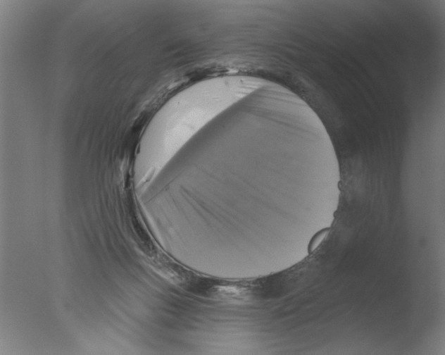 X0000076080167200610202049