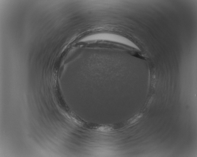 X0000076080168200610202049