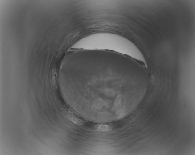 X0000076080169200610202049