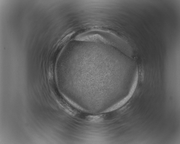 X0000076080170200610202049