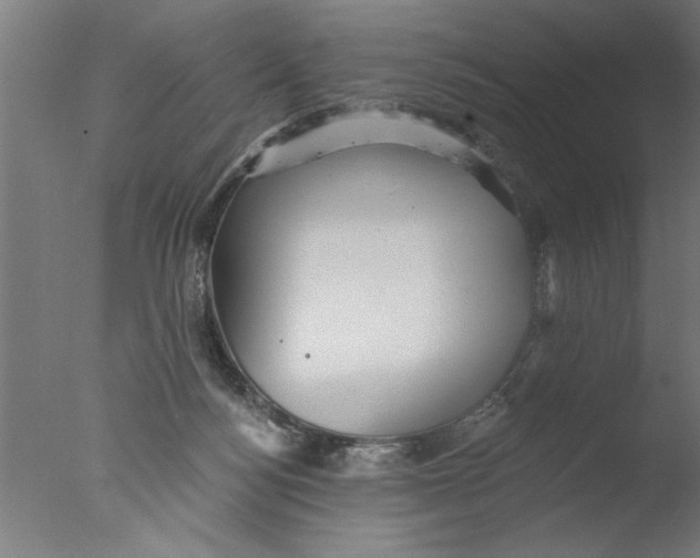 X0000076080172200610202049