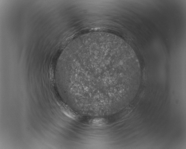 X0000076080173200610202049