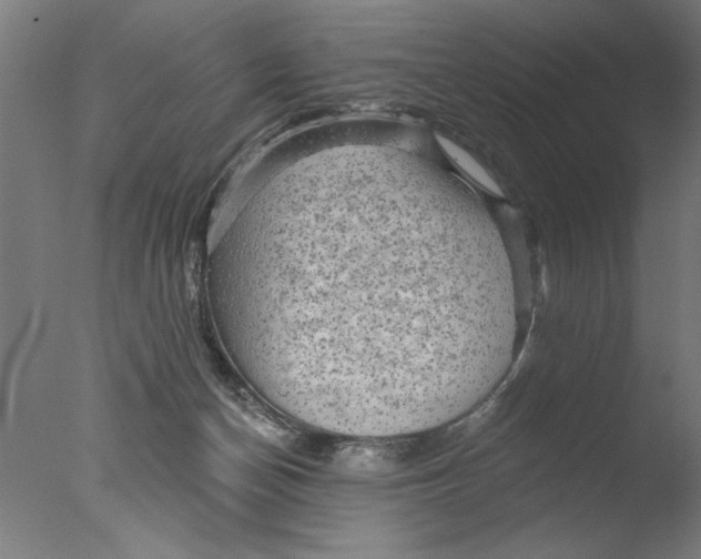 X0000076080174200610202049