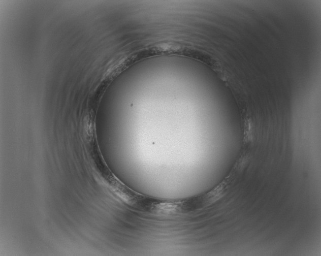 X0000076080176200610202049