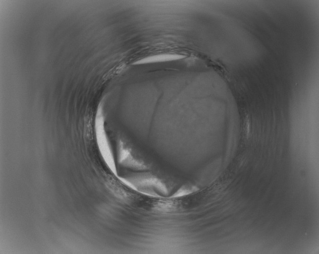 X0000076080177200610202049