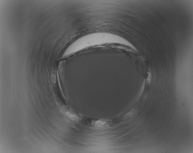 X0000076080180200610202050