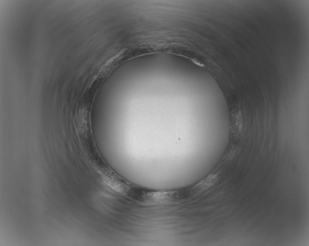 X0000076080184200610202050