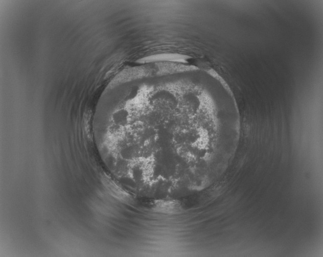 X0000076080185200610202050