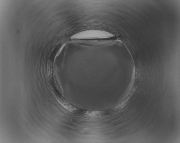 X0000076080186200610202050