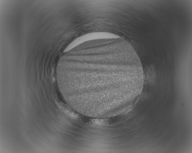 X0000076080187200610202050