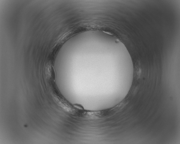 X0000076080188200610202050