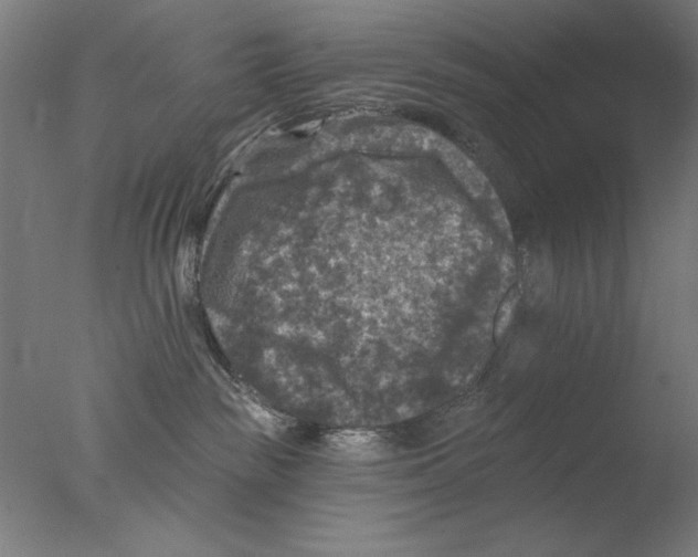 X0000076080189200610202050