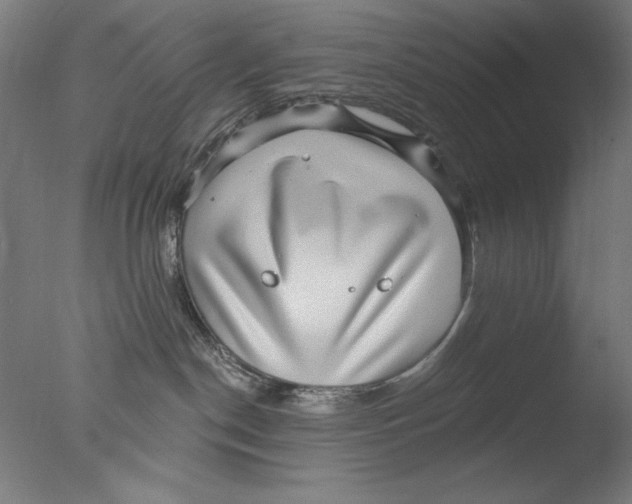 X0000076080190200610202050