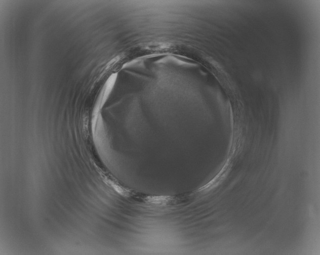 X0000076080192200610202050