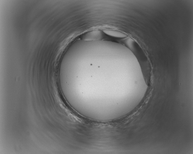 X0000076080193200610202049