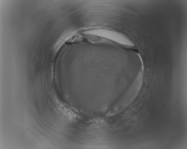 X0000076080194200610202049