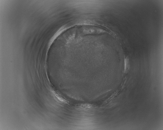 X0000076080195200610202049