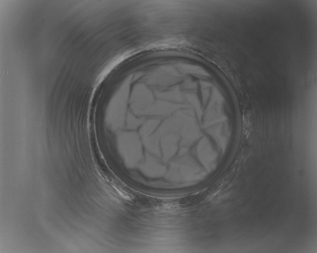 X0000076080196200610202049