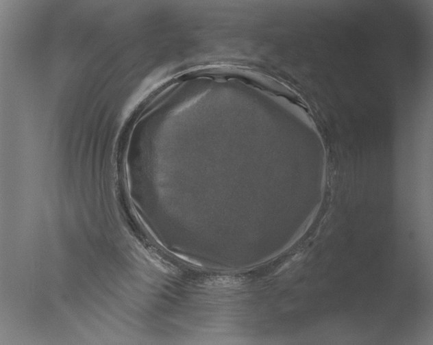 X0000076080198200610202049