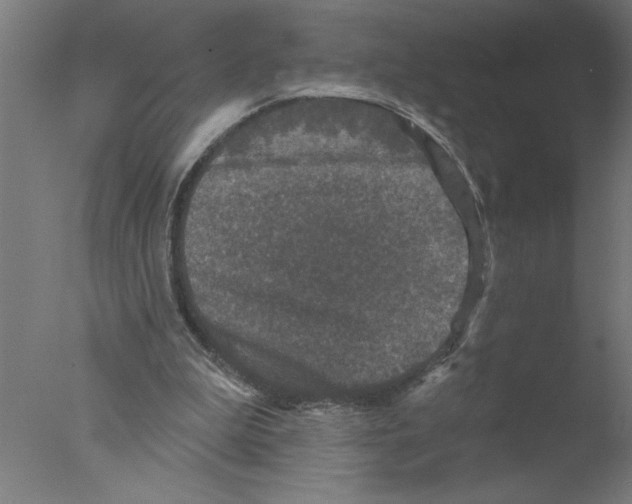 X0000076080199200610202049