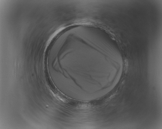 X0000076080200200610202049