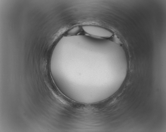 X0000076080201200610202049