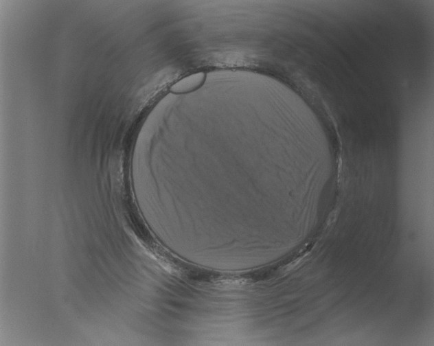 X0000076080202200610202049