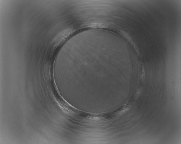 X0000076080205200610202049