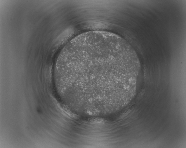 X0000076080206200610202049