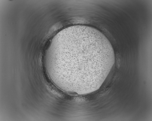 X0000076080207200610202049