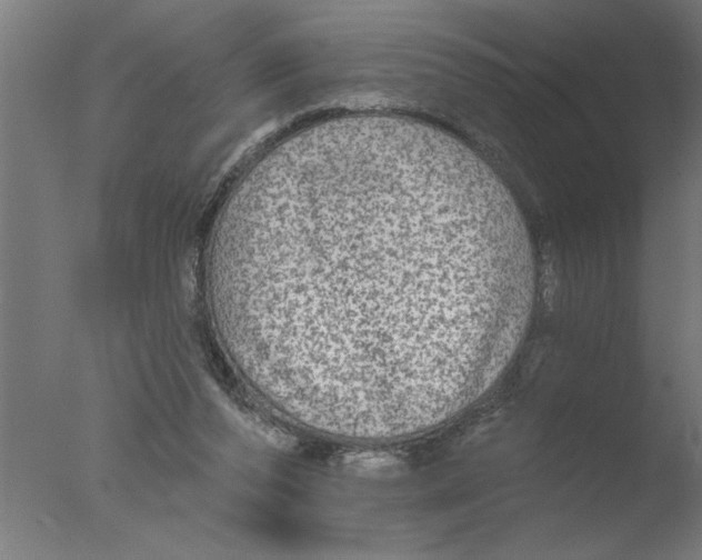 X0000076080208200610202049