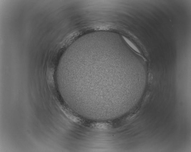 X0000076080209200610202049