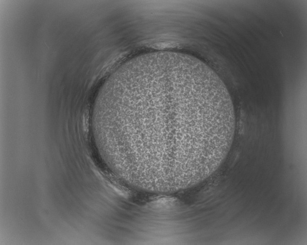 X0000076080210200610202049