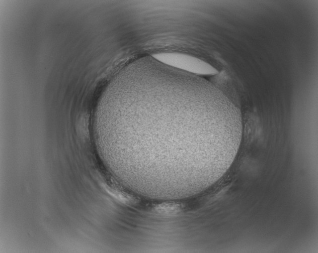 X0000076080213200610202049