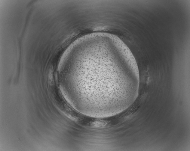 X0000076080215200610202049