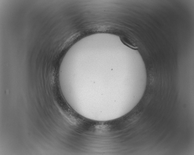 X0000076080216200610202049