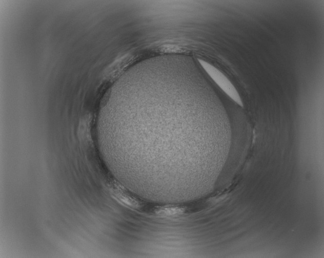 X0000076080217200610202048