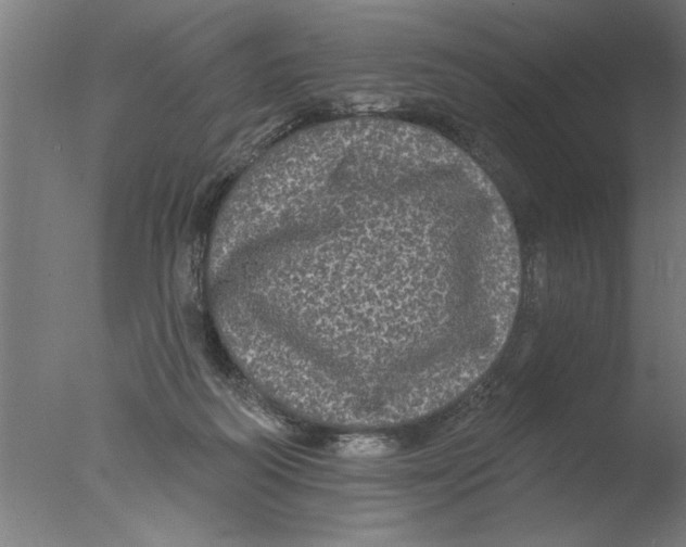 X0000076080218200610202048