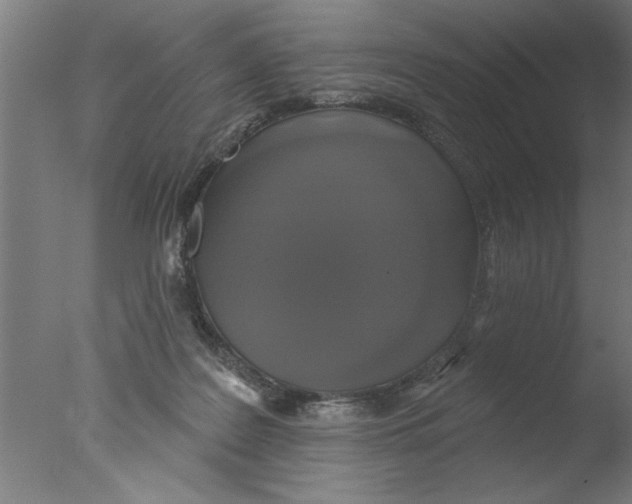 X0000076080219200610202048