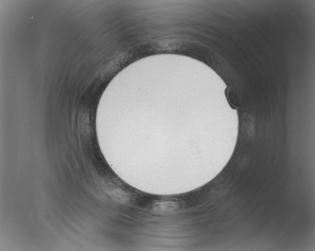 X0000076080220200610202048