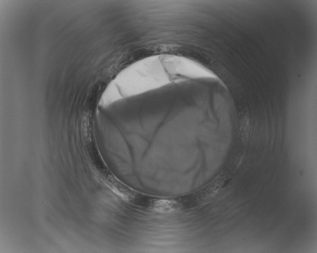 X0000076080222200610202048