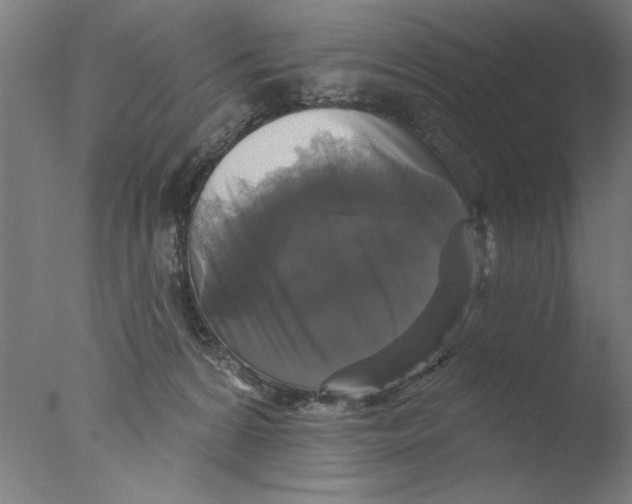 X0000076080224200610202048