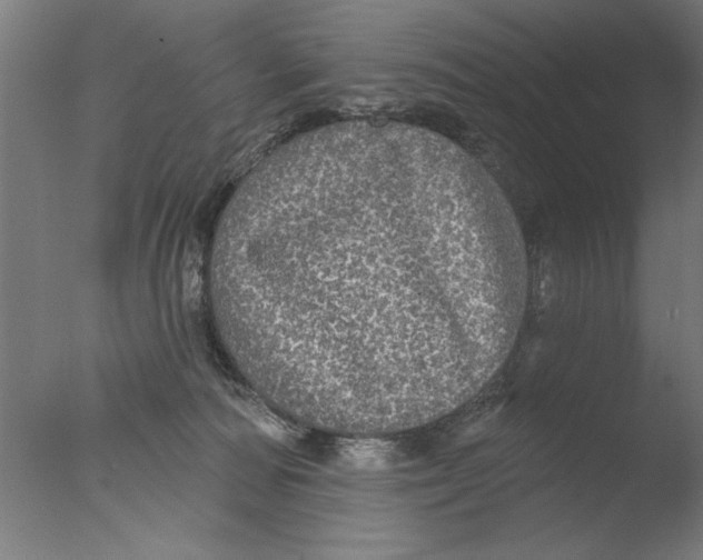 X0000076080226200610202048