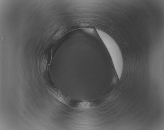 X0000076080227200610202048