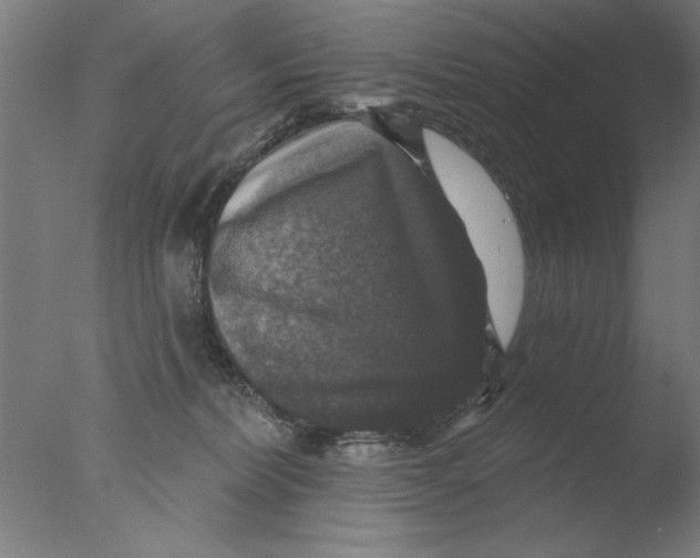 X0000076080228200610202048