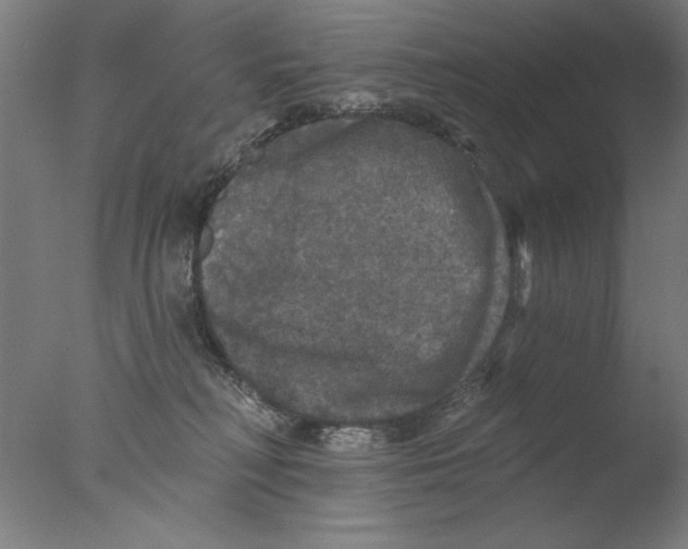 X0000076080230200610202048