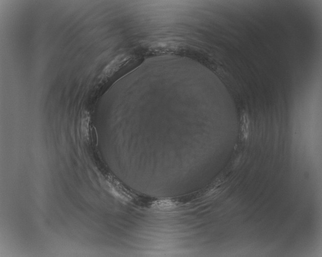 X0000076080231200610202048