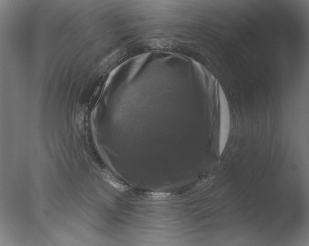 X0000076080233200610202048