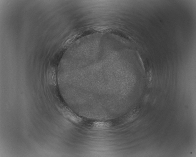 X0000076080234200610202048