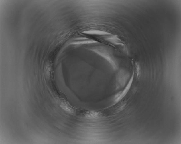 X0000076080235200610202048